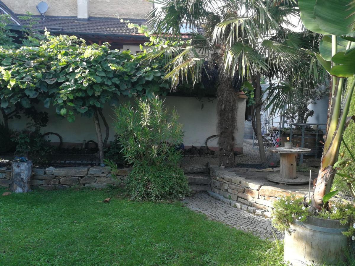 Bed and Breakfast Haus Bienen Иринген Экстерьер фото