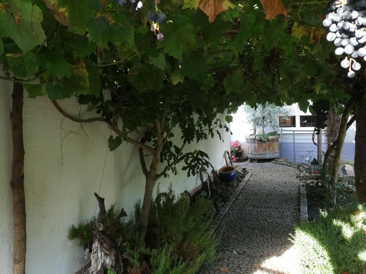 Bed and Breakfast Haus Bienen Иринген Экстерьер фото
